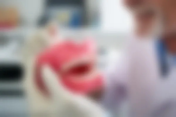 海口牙世家口腔服务电话，了解海南海口牙世家的专业牙科服务与预约信息