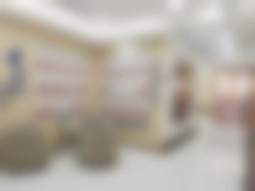 渭南兔博士口腔医院（小白兔口腔）诊疗项目