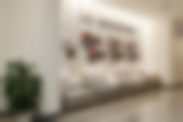 四、孟涛医生的技术与典型操作流程