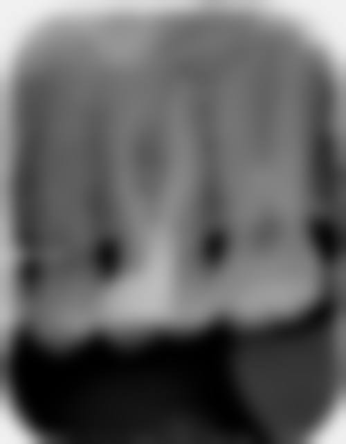 二、刘胜久擅长项目及优势