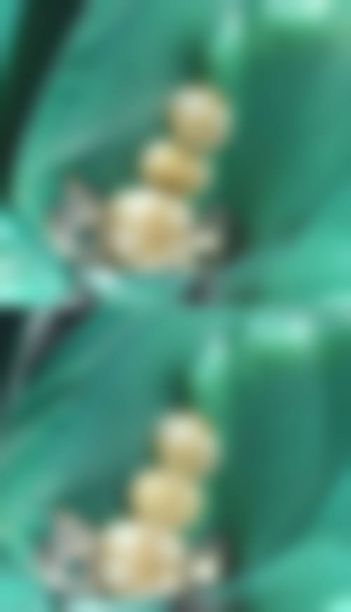 六、患者常见就诊关注点说明