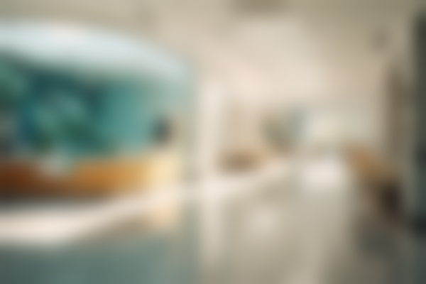 广东东莞虎牙口腔