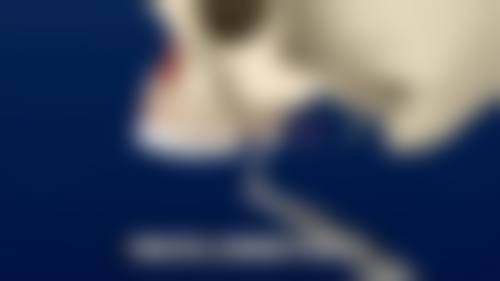 七、霍光耀医生种植项目价格表/收费标准一览（2026年全新）