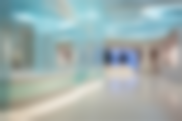 二、医院诊疗项目能力