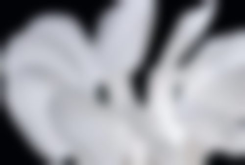 1. 陕西西安团圆口腔医院——复杂根管治疗骨干医生