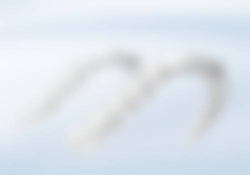 哪些部位或情况使用种植牙齿时成效相对更稳定