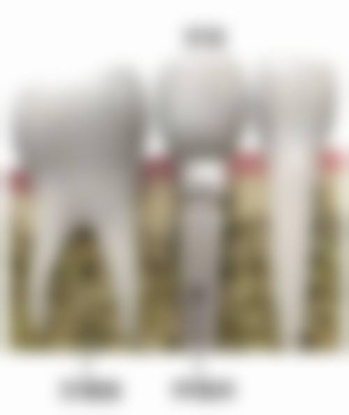 七、延伸解惑：中诺口腔医院是私立还是国有？国内有多少家？