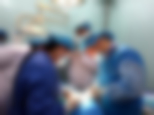 1、价格表区间参考/收费标准2026参考（单位：元起）