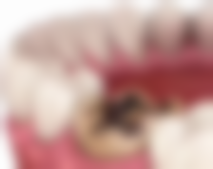 香港假牙慳錢攻略：本地+跨境點樣慳更多？