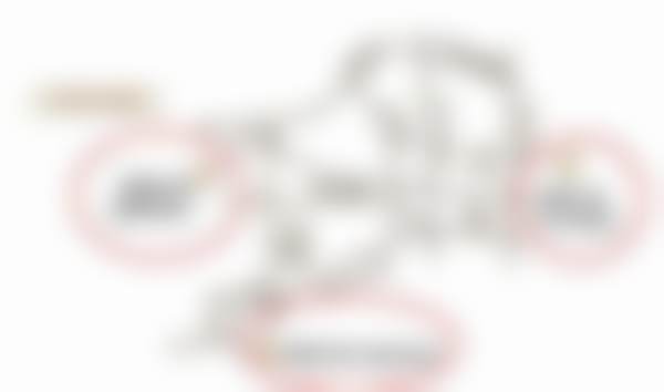 三、柏德口腔正畸天团：王丽艳博士后领衔亲诊SPARK矫正