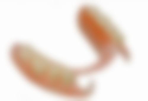 拔牙后种植牙的口腔卫生要求及对时长的影响