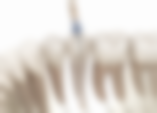 香港 澳门牙齿根管治疗多少钱 适合边类人群?