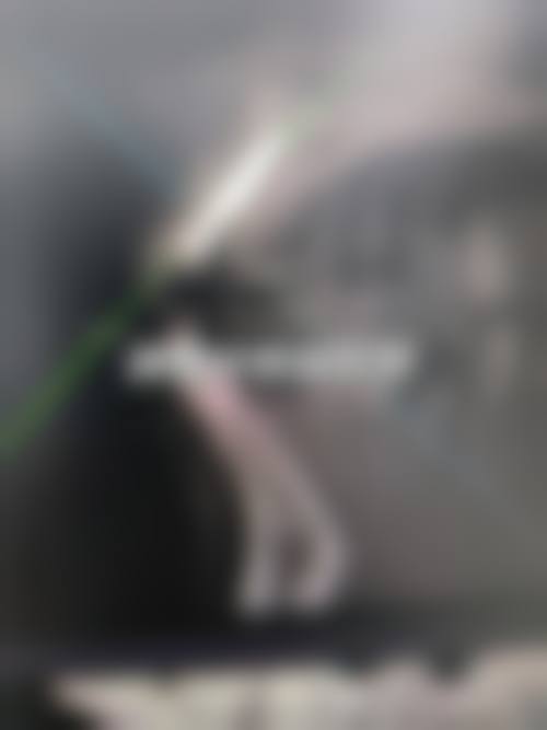 澳门牙医哪家好？2026最新5大正规牙科诊所推荐！收费亲民口碑之选