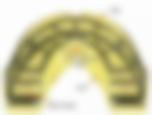 医生在判断门牙做过根管治疗矫正牙齿成效边界中的作用