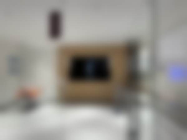 五、根管治疗项目的手术成效和安心性