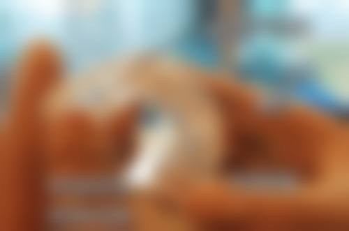 三、医生团队介绍表/部分医生名单