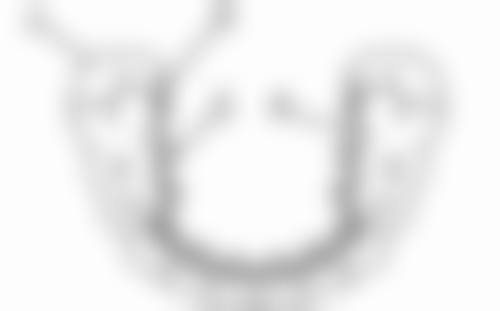 （三）适合与不适合人群