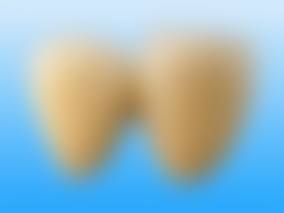 在澳门看牙科贵不贵:边类人群更适合过珠海睇牙?