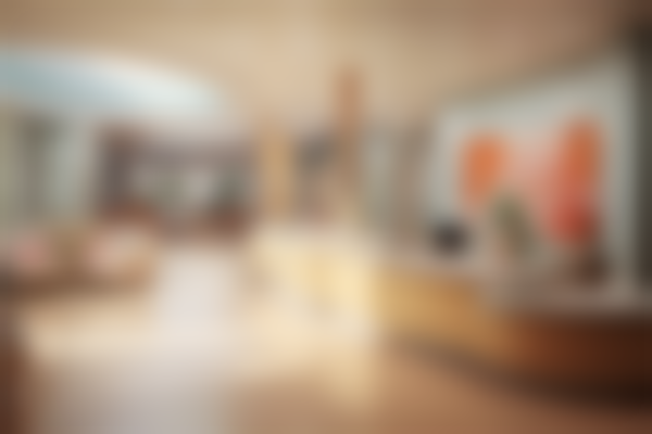价格透明化：主流项目费用预览