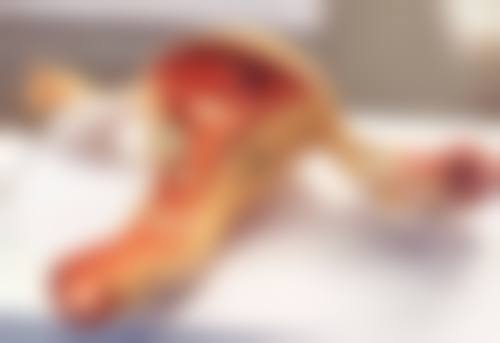 上海沃德医疗中 心医疗美容科简介