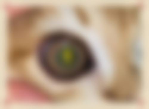 龙口光明眼科医院医生团队经验稳定。