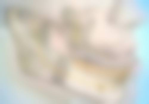 港大醫院整形外科價格表2026最新｜睇清手術費用附圖參考價位一覽