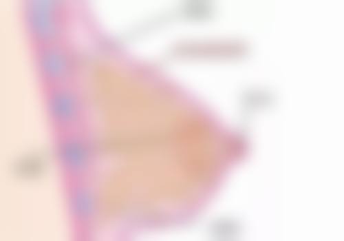 三、张桂林医生擅长项目介绍