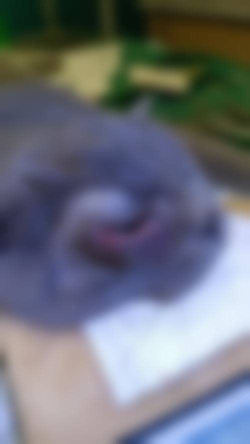武汉儿童医院眼科擅长项目。