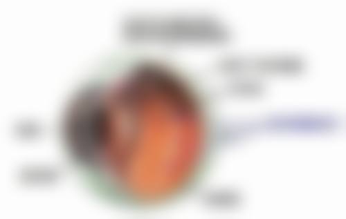 七、西 南医 科眼科就诊预约挂号指南