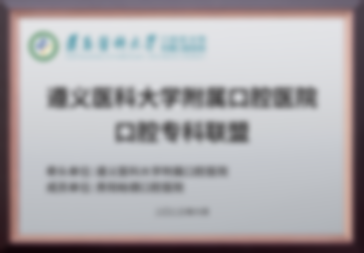 从业经历回顾