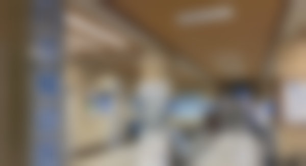 2026年价格表