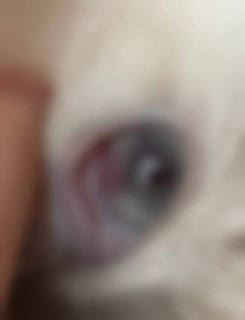 服务流程与保护