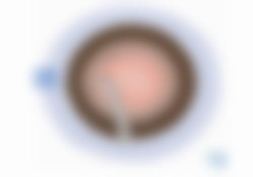 八、长春中 医 药大学附属医院眼科地址电话营业时间