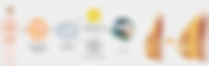 2026年价格表相关情况