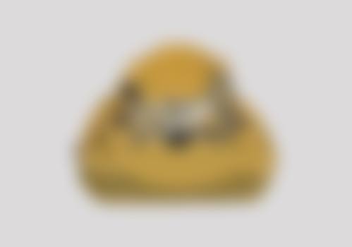 常见问题解答(FAQ)