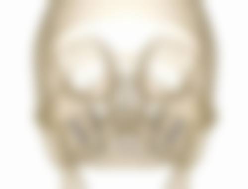 设备环境介绍:数字化诊疗与舒适体验