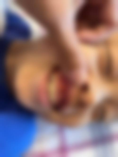 优惠活动详情