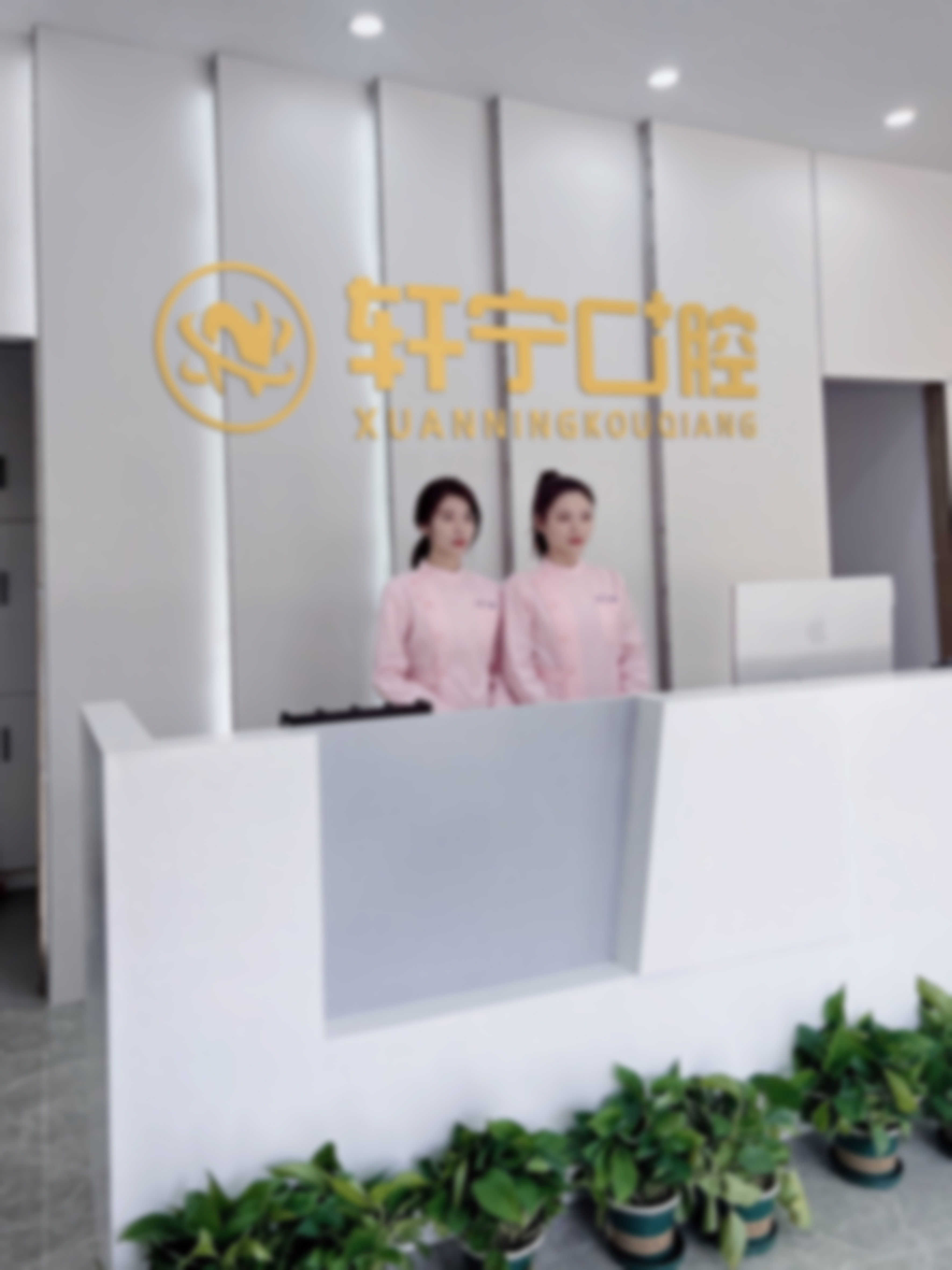 该项目价格8000元起,值这个价吗?