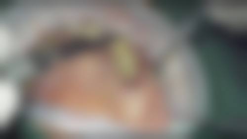 擅长项目详解