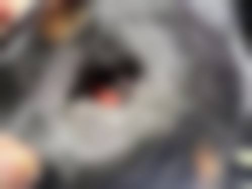 东莞光明眼科医院(东莞普瑞)治疗反馈与口碑评价。