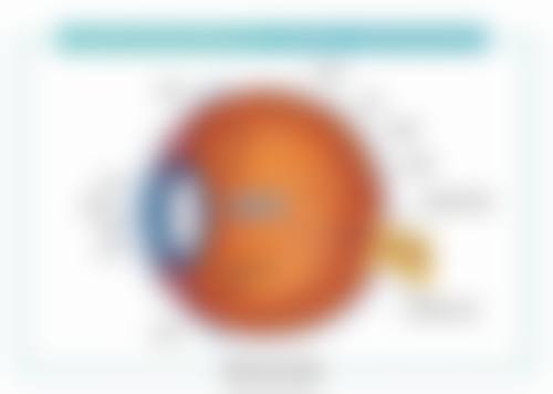 张兰华的技术与实力