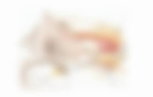八、患者真实就诊体验 / 口碑实例反馈一例