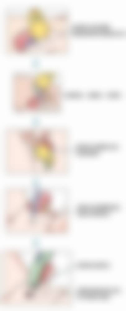 佛山瓷美颜整形医院预约挂号方式。
