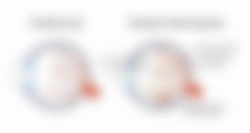 常见问题解答(FAQ)