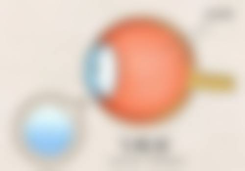 常见问题解答(FAQ)