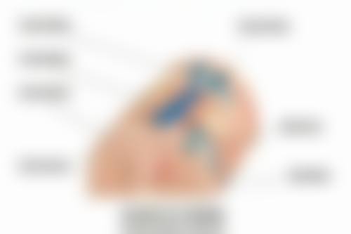 韓國鼻整形術前術後避坑指南