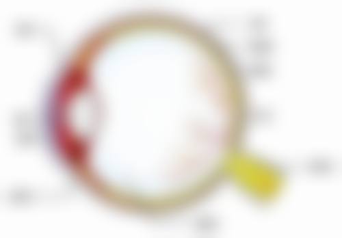 结语:专精诊疗,守护眼部健康