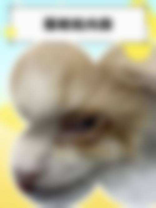 优惠活动详情：原价与优惠价透明公开