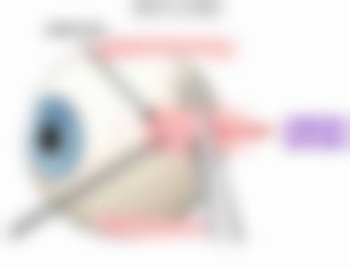 苏州大学附属理想眼科医院门诊营业时间。