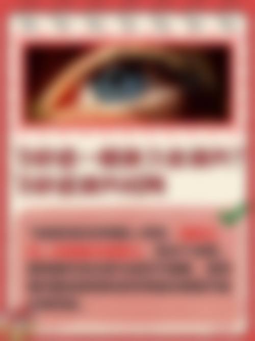 擅长项目详解